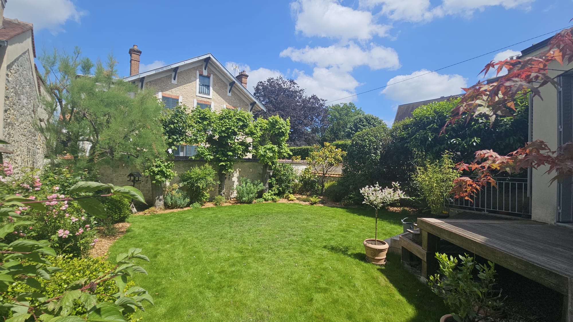 Jardin contemporain avec piscine